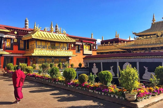 8 Days Lhasa Gyantse Shigatse Mt Everest Group Tour