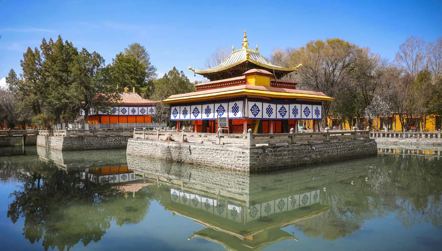 Tsurphu to Yangpachen Trek