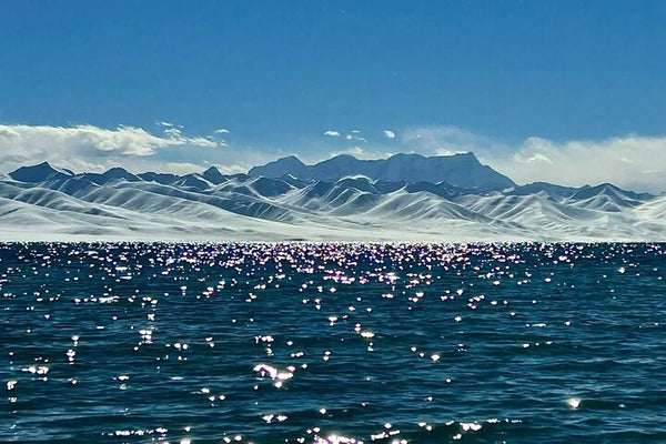 9 Days Lhasa Gyantse Shigatse Everest Namtso Group Tour