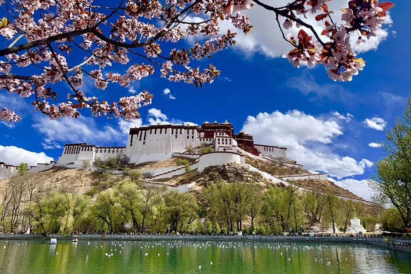 Tibet Tour 8 Days Lhasa to Everest Base Camp Small Group Tour