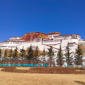 Lhasa Tour